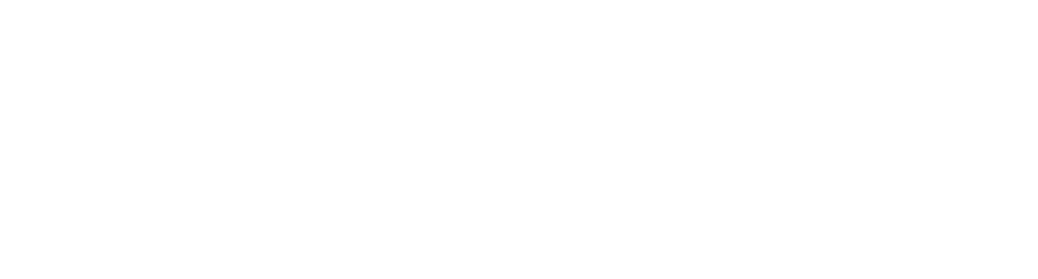 Logo Digital Hub Experience